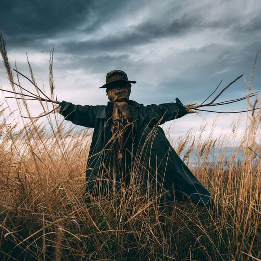 A scarecrow in a field of tall grass under a stormy sky. — Scarecrow Picture