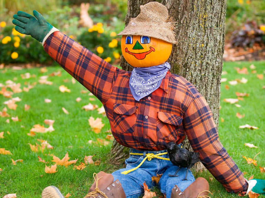 Scarecrow Pictures Wallpaper