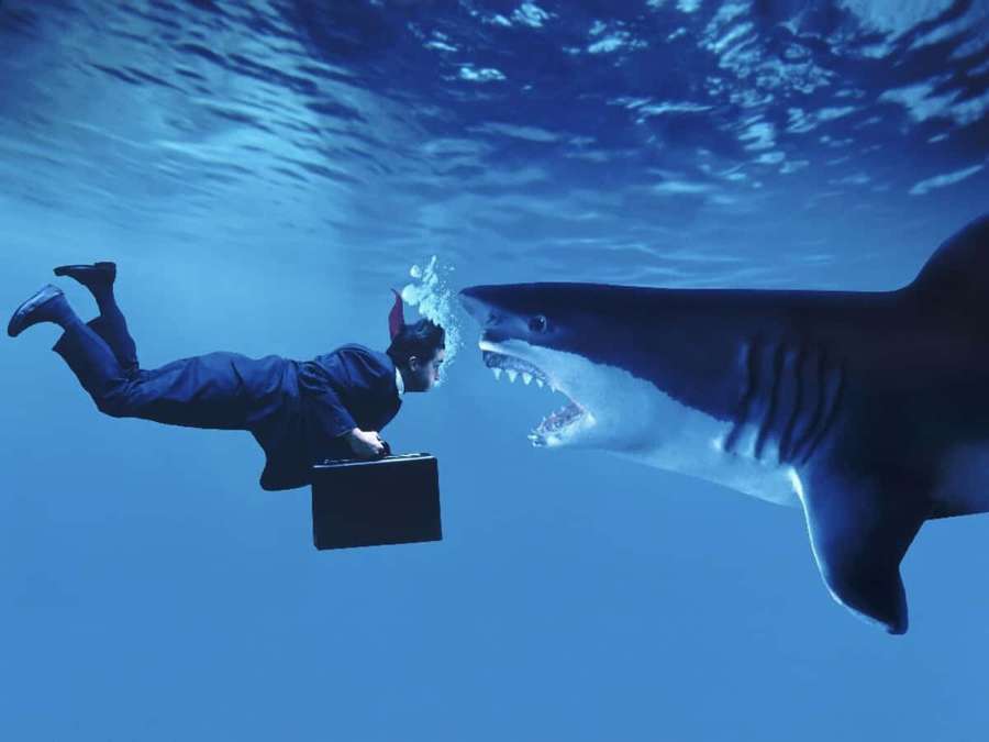 Businessman underwater holding briefcase as shark approaches. — Scary Shark Background