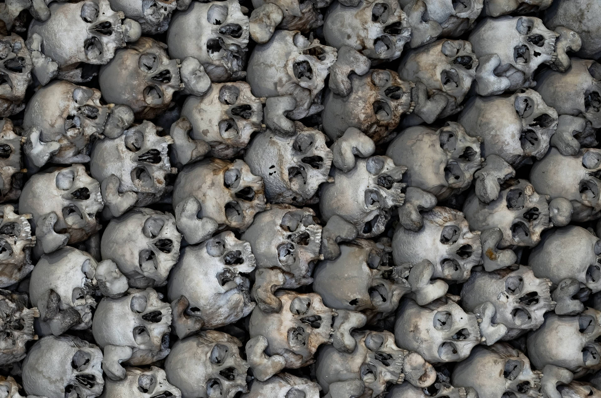 Scary Skulls Wallpaper