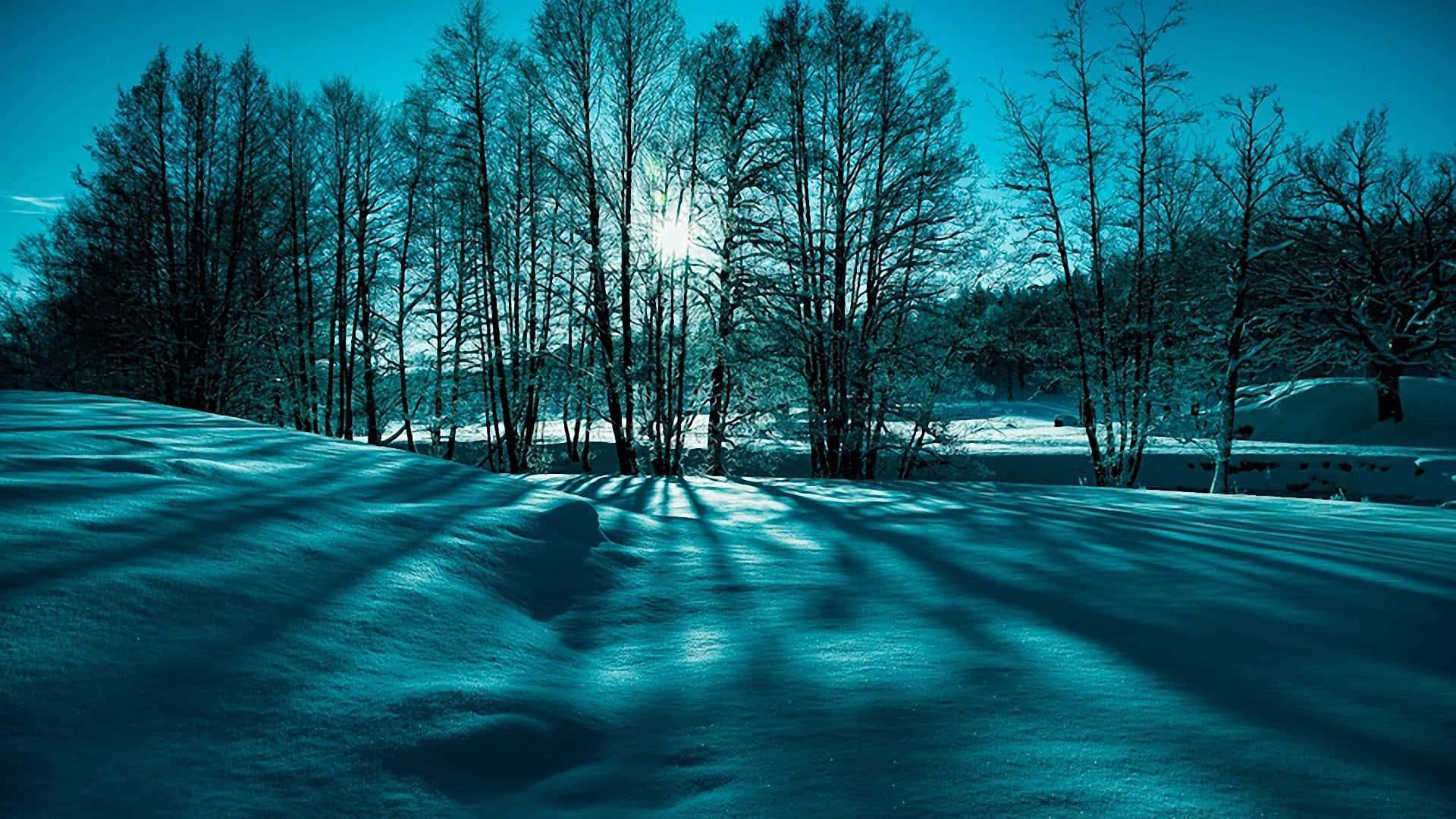 Scénario D'hiver Bureau Fond d'écran