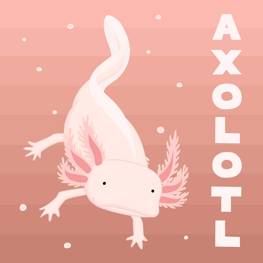 Schattige Axolotl Achtergrond