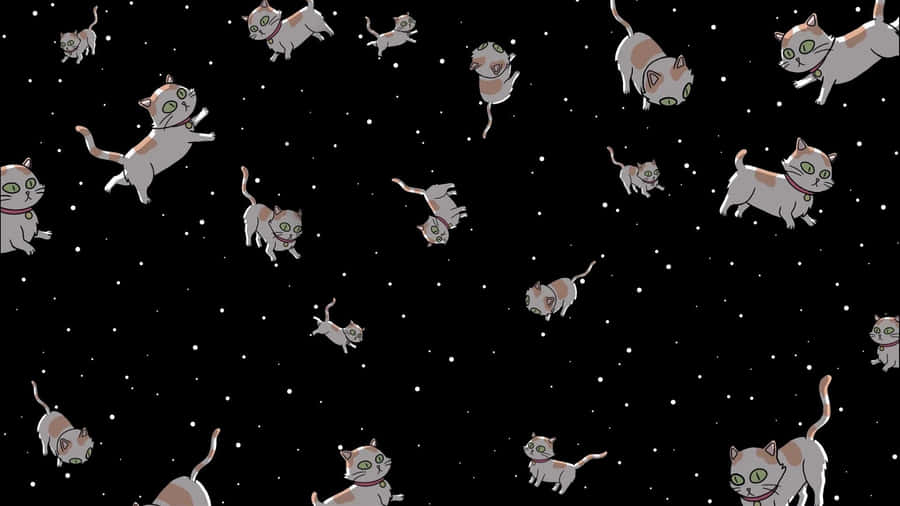 Schrodinger's Cat Wallpaper