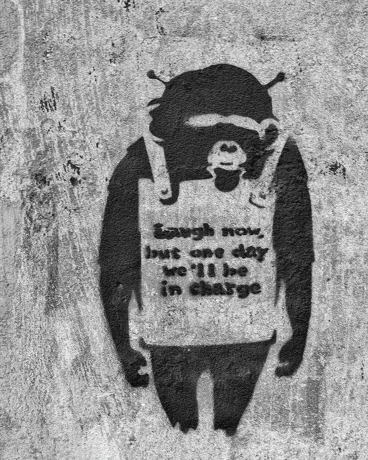 Affen-Schablonen-Graffiti mit Text auf Betonwand — Schwarz weiß graffiti Wallpaper