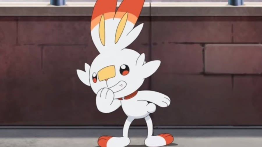 Scorbunny Achtergrond