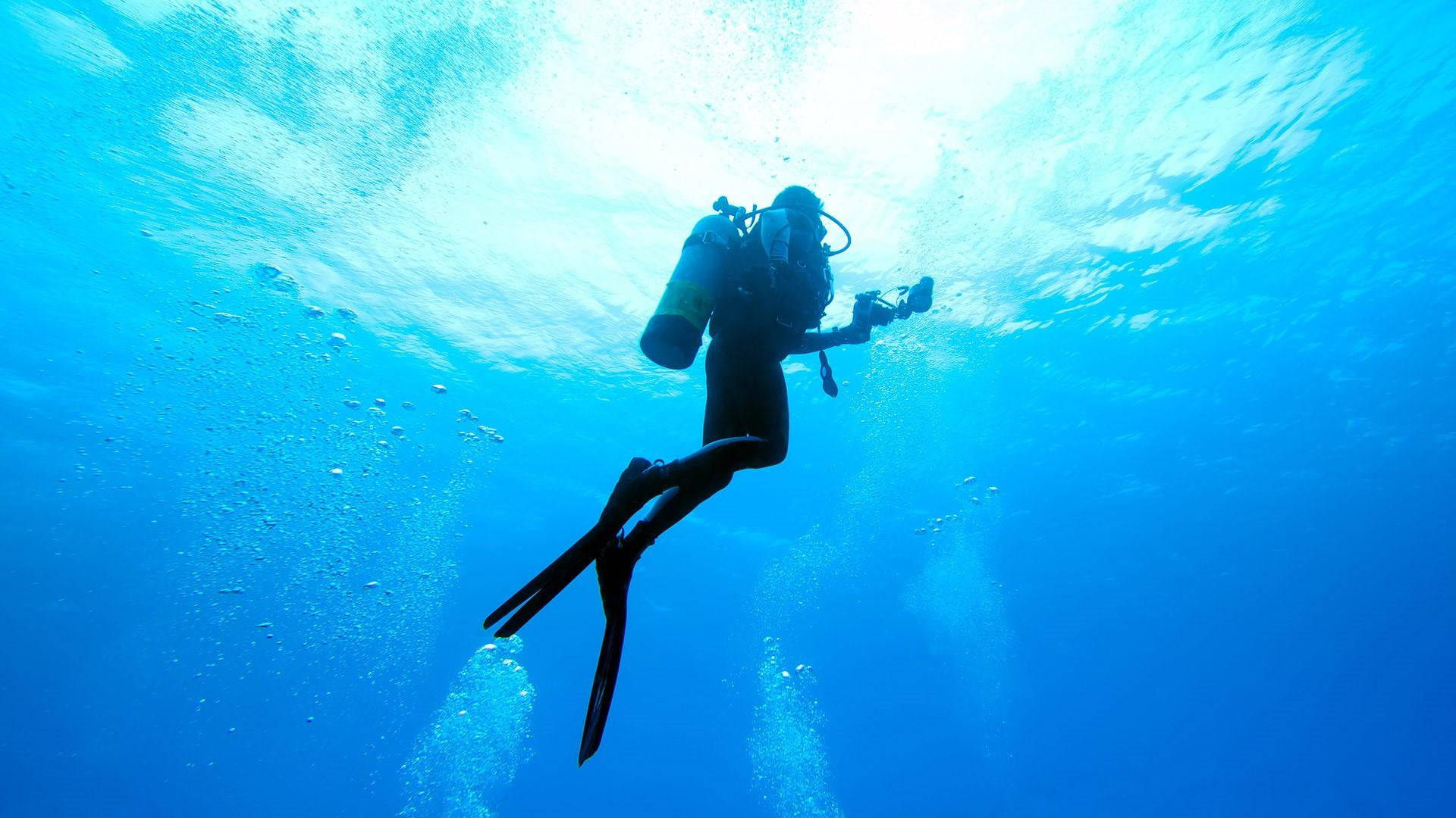 Scuba Diving Photos Download The BEST Free Scuba Diving Stock Photos  HD  Images