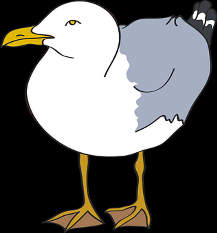 Seagull Png