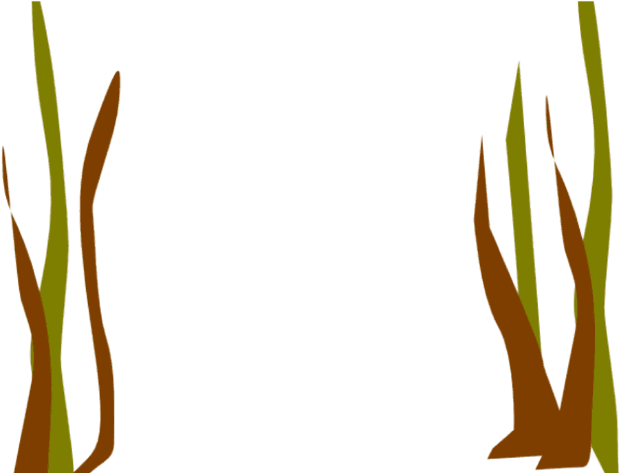 Seaweed Png