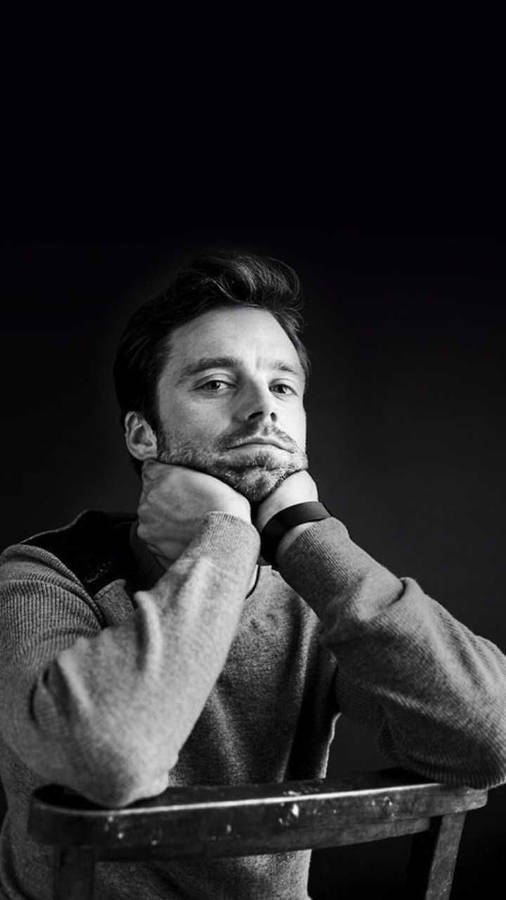 Sebastian Stan Achtergrond