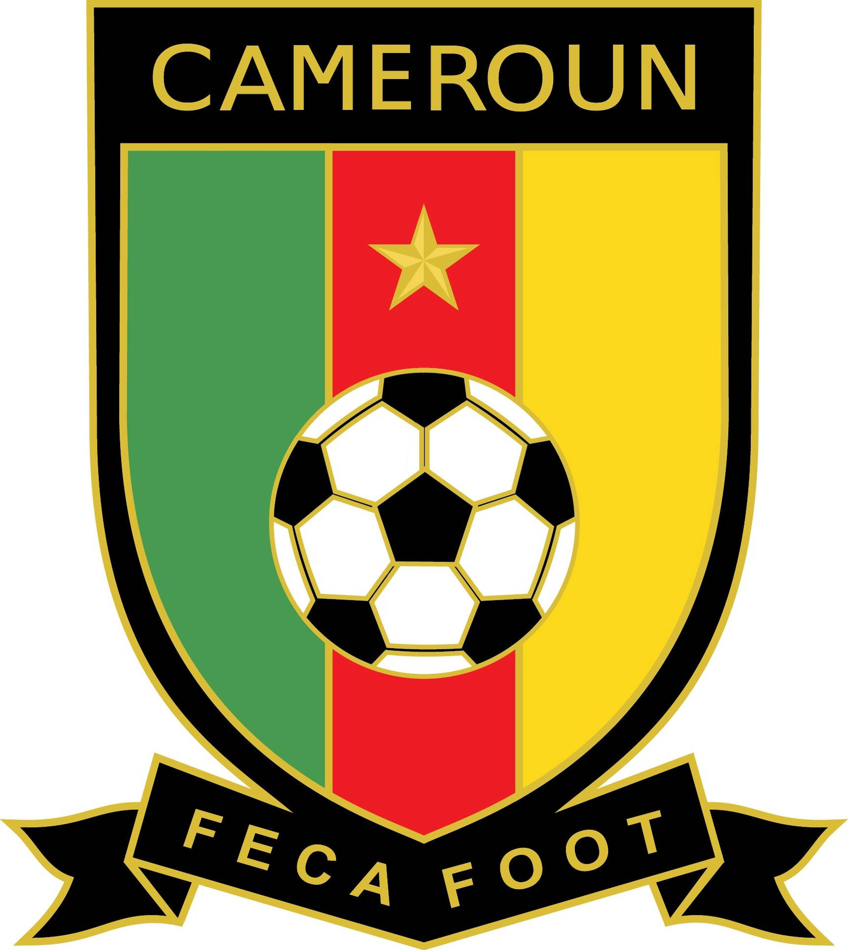Seleção Camaronesa De Futebol Papel de Parede