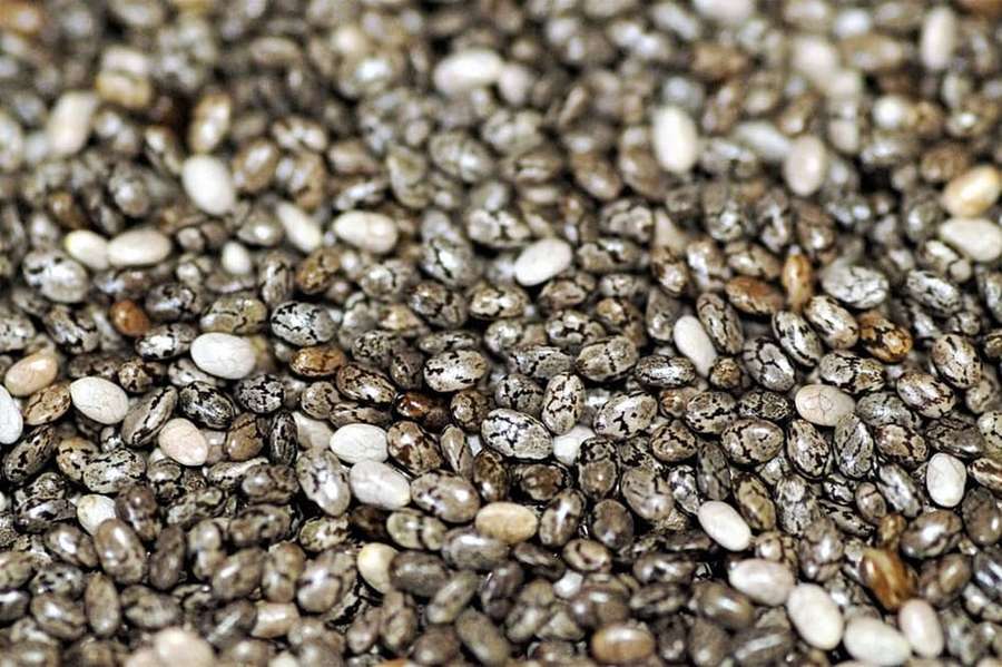 Primer plano de semillas de chía que muestran patrones moteados y tonos tierra. — Semillas de Chía Fondos de pantalla