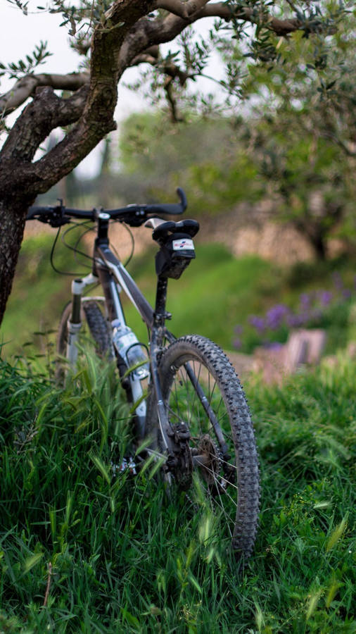 Sepeda Iphone Wallpaper