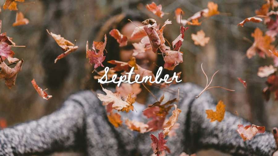 Pessoa de suéter cinza cercada por folhas de outono caindo com texto September. — September Aesthetic Papéis de Parede