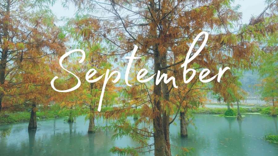 Cypress trees in autumn colors reflected in calm water with the word September overlaid. — September Desktop Wallpaper