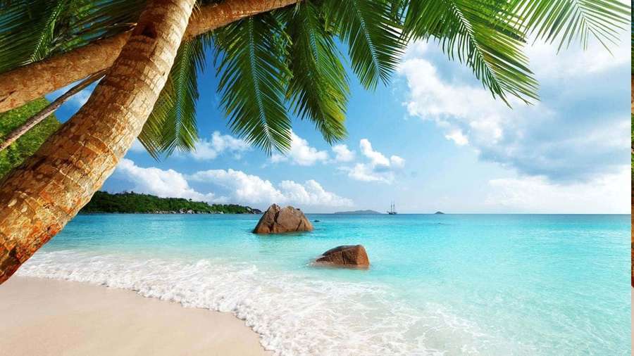 Tropical beach with palm trees and turquoise water under a sunny sky. — Seychelles Beach Wallpaper