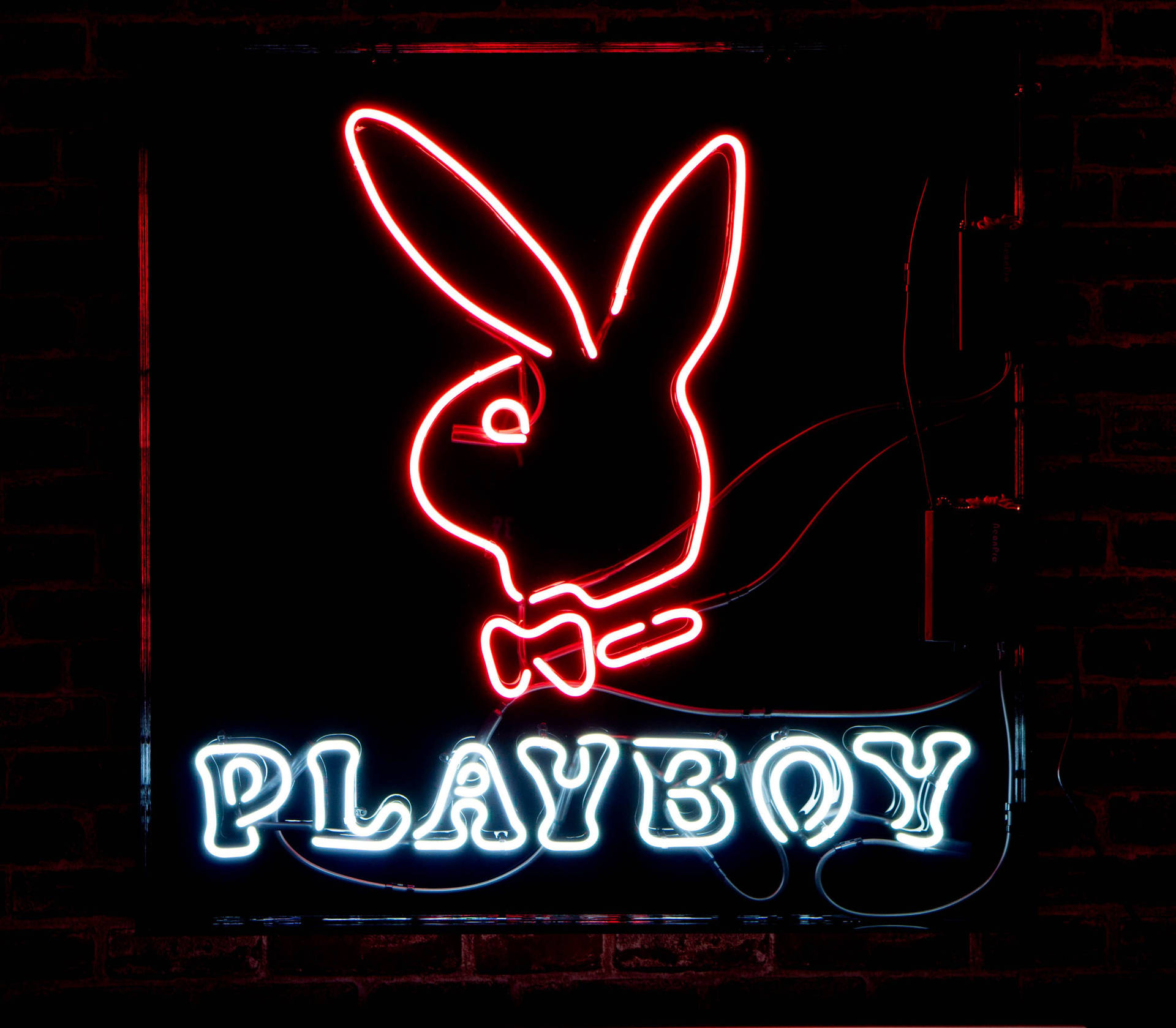 Sfondo Del Logo Playboy