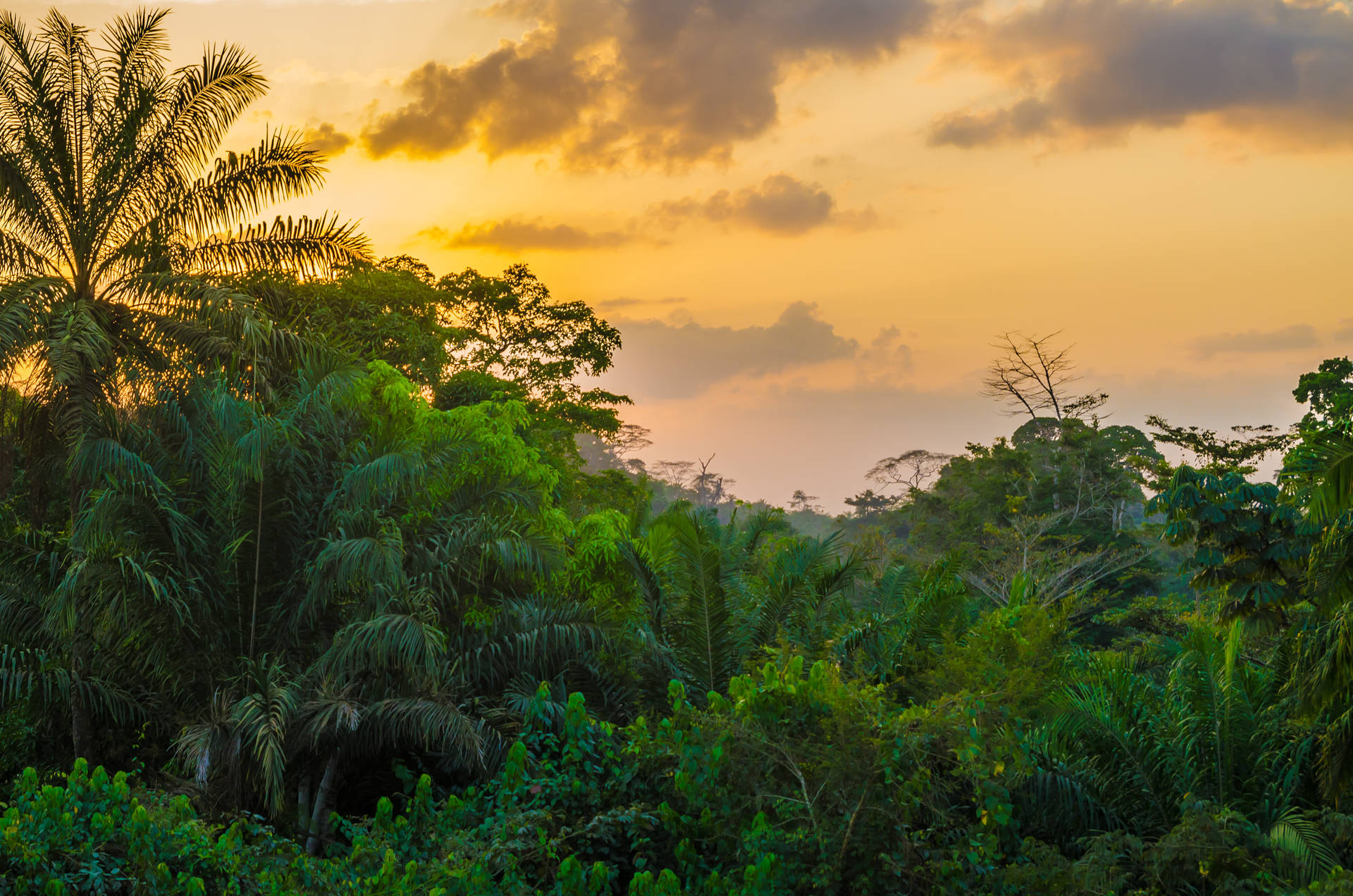 Sfondo Della Liberia