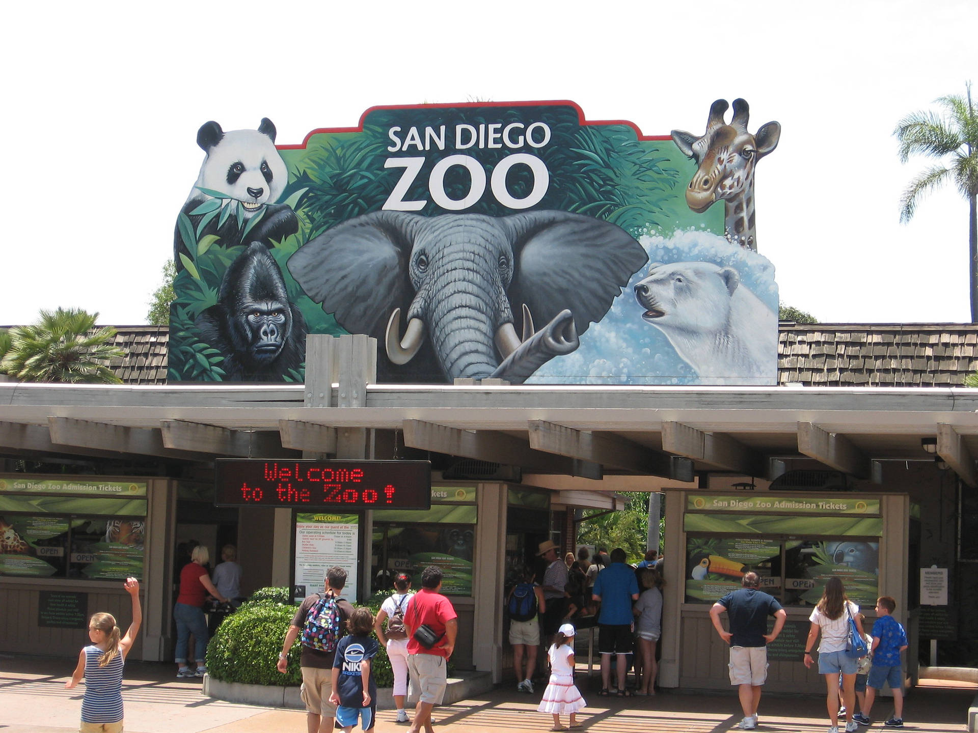 Sfondo Dello Zoo Di San Diego