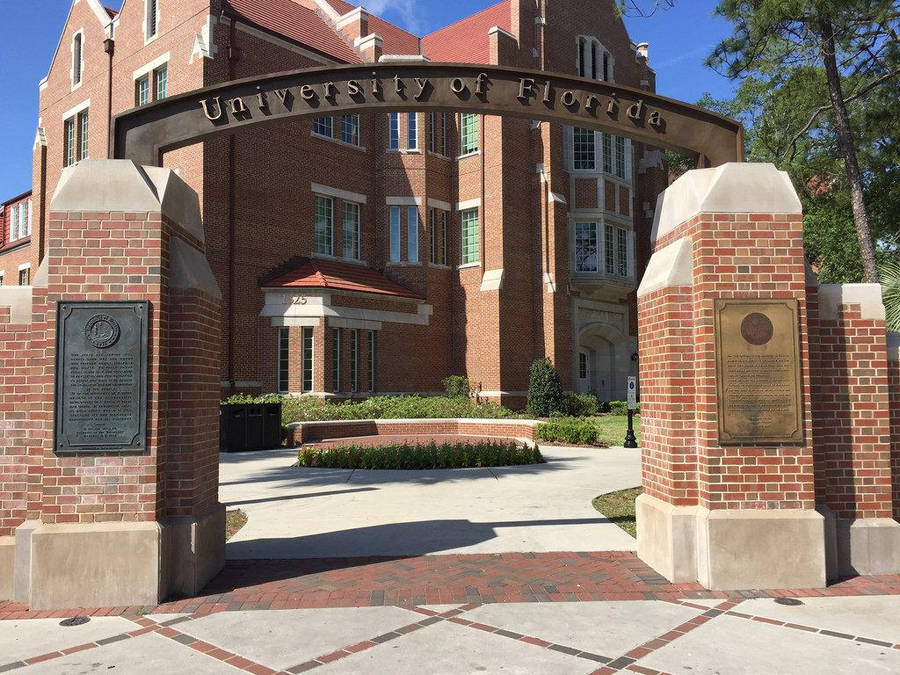 Sfondo Dell'università Della Florida