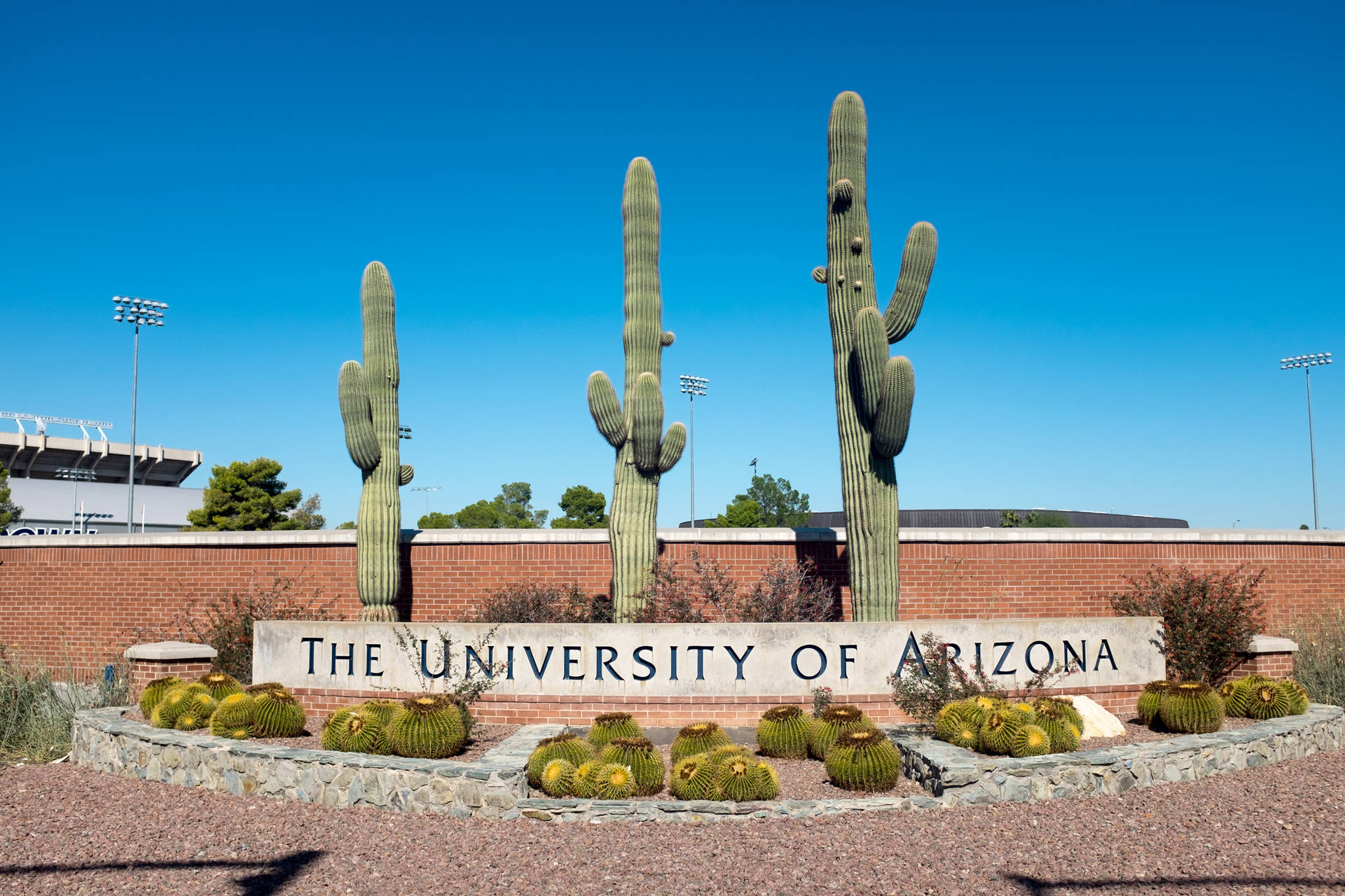 Sfondo Dell'università Dell'arizona