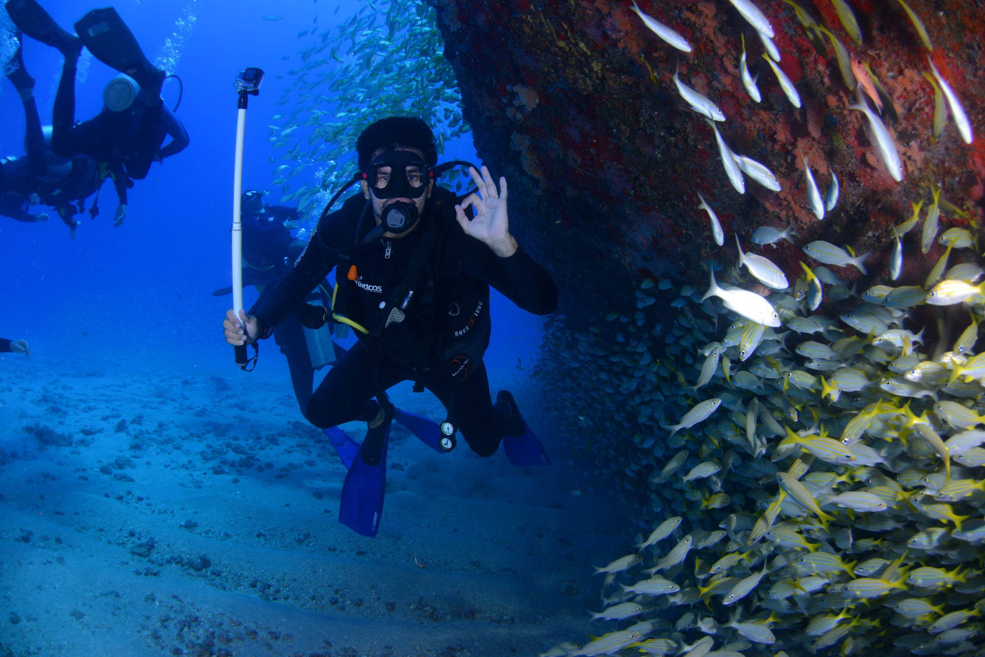 Sfondo Di Immersioni