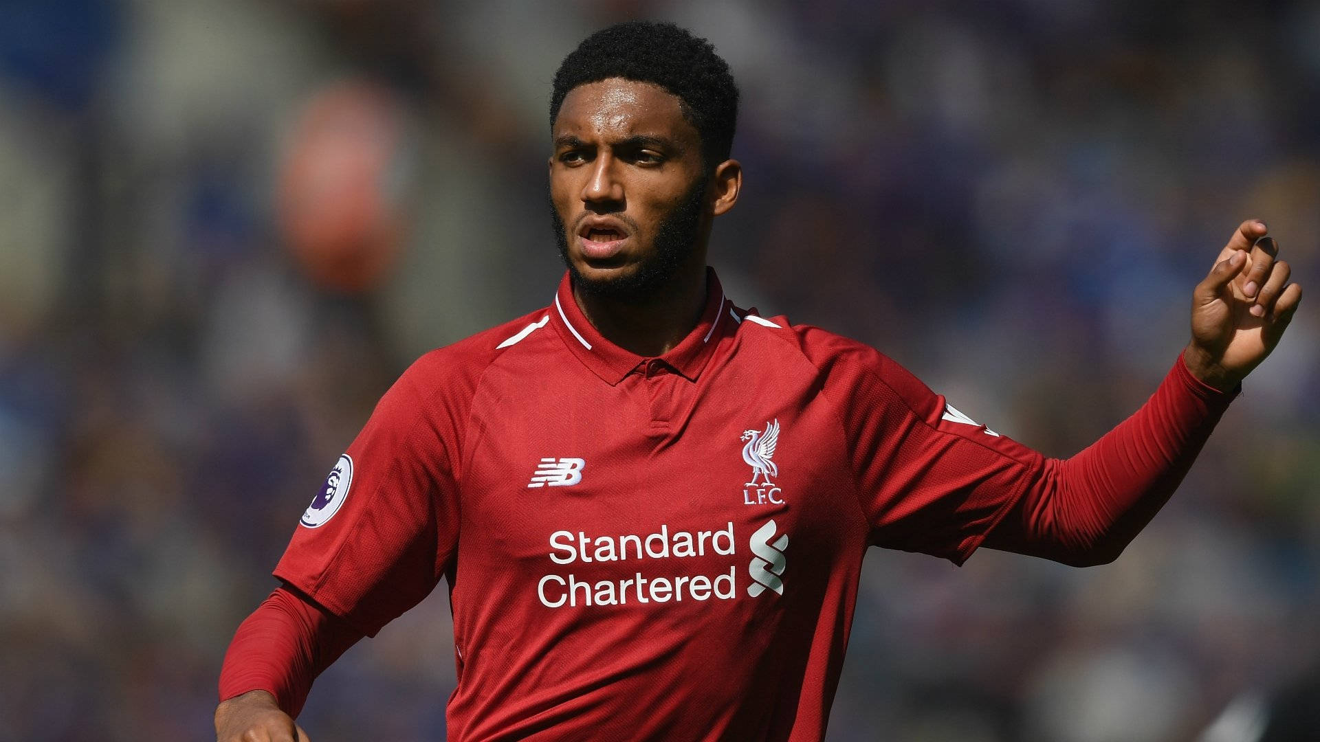 Sfondo Di Joe Gomez