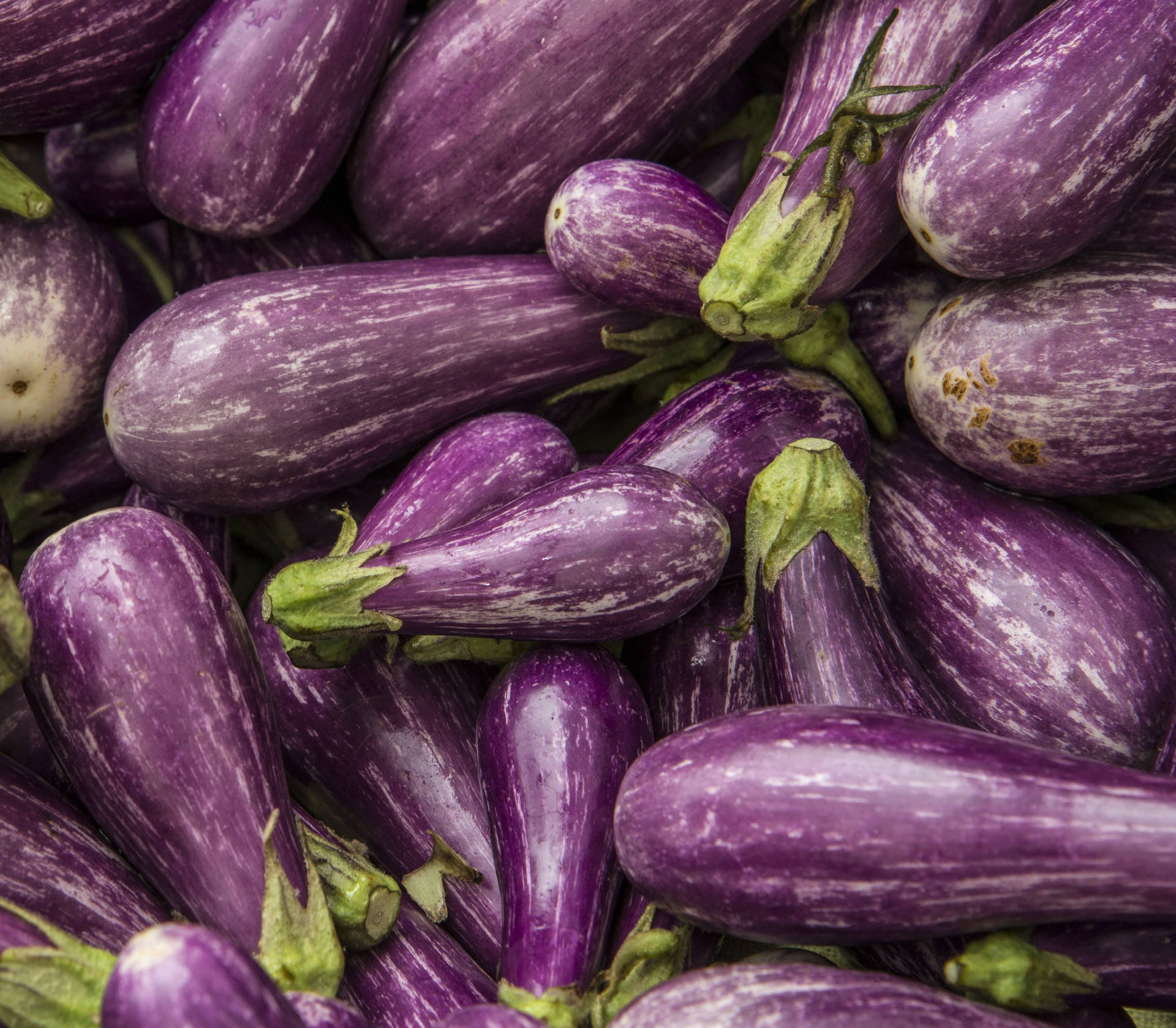 Sfondo Di Melanzane