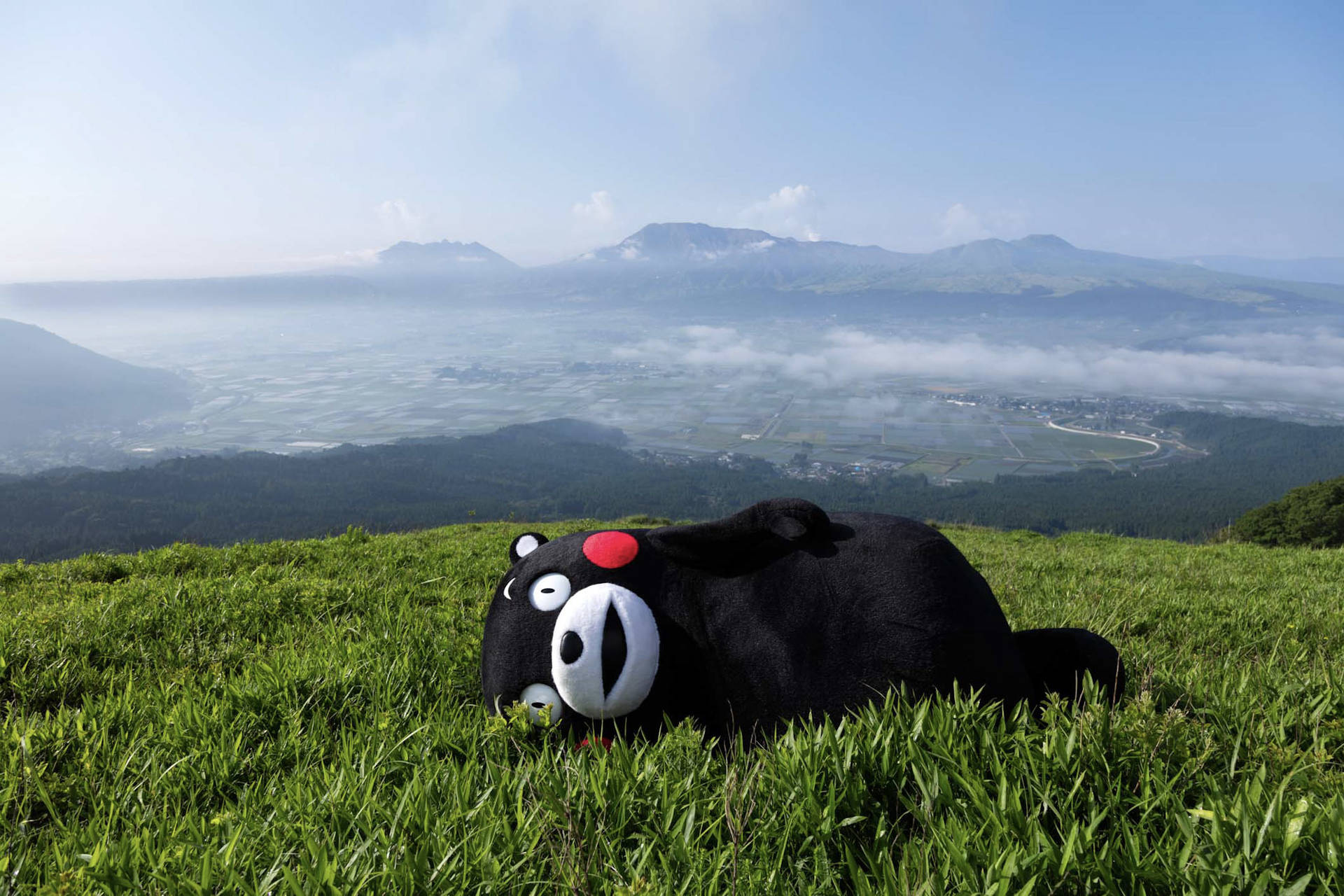 Sfondo Kumamon