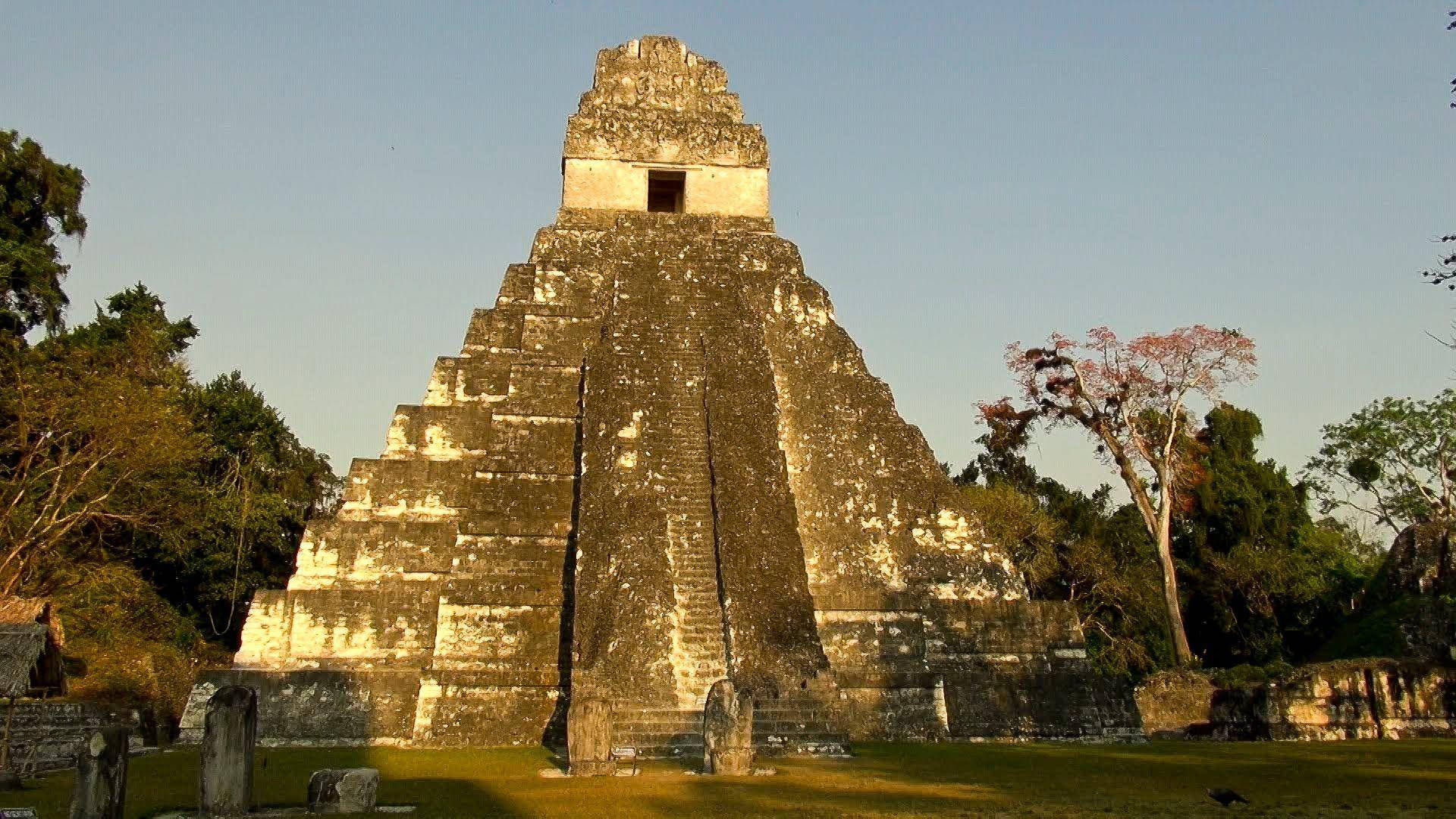 Sfondo Tikal