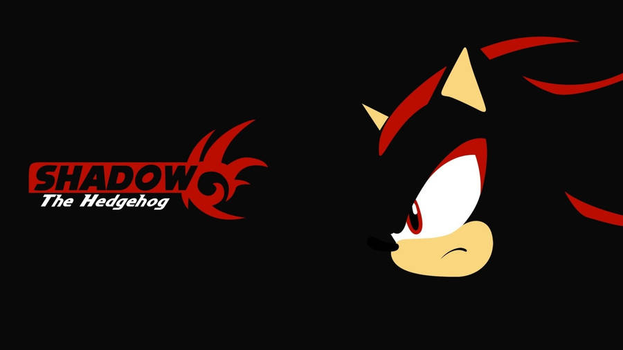 Shadow The Hedgehog Pfp Wallpaper