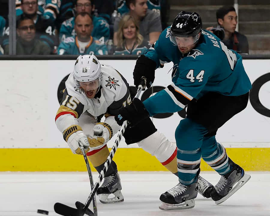 Sharks De San Jose Fond d'écran