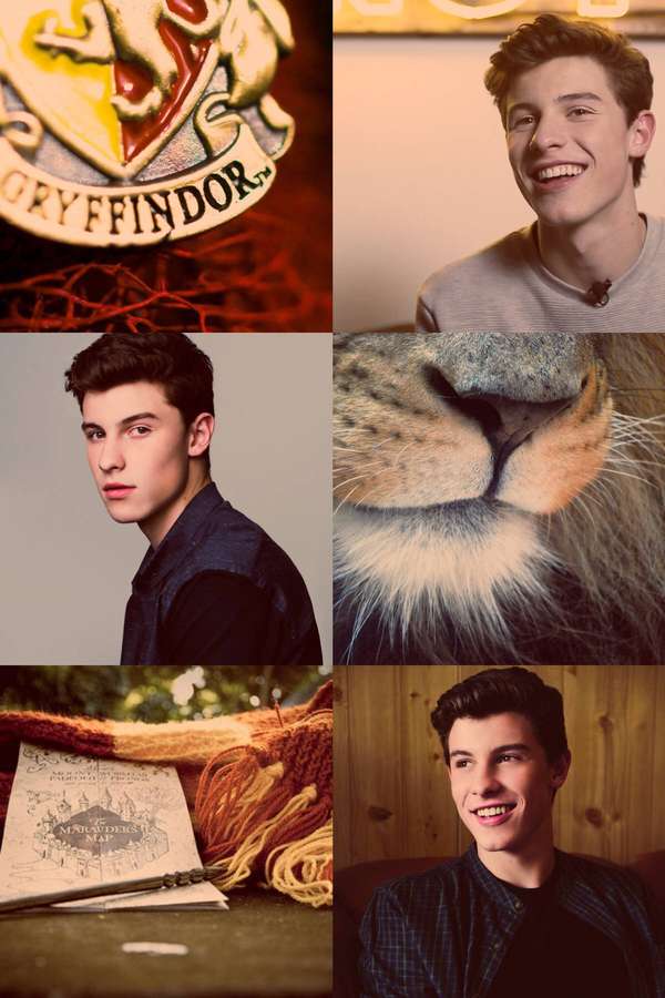 Collage featuring Gryffindor crest, smiling young man, lion's nose, Harry Potter book with yarn, and wooden background. — Shawn Wallpaper