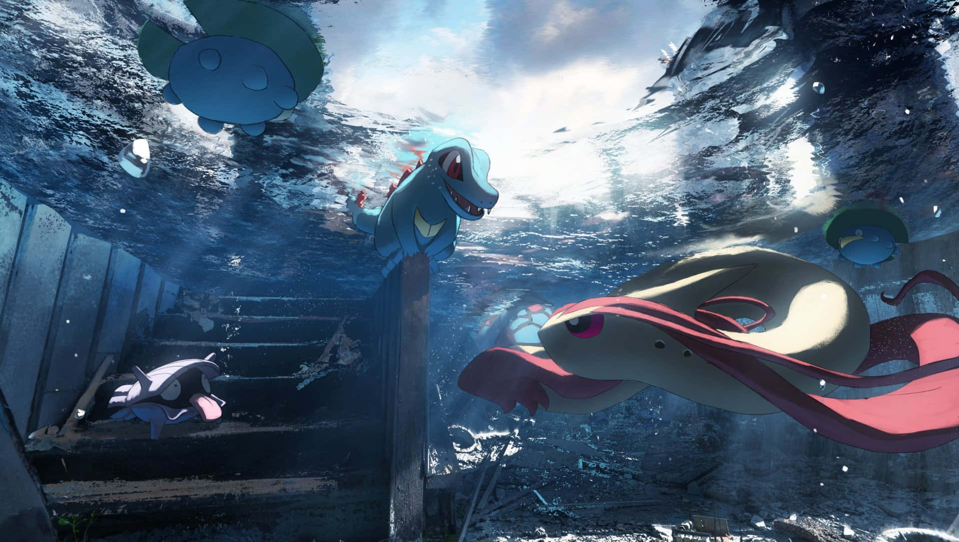 Shellder Fond d'écran