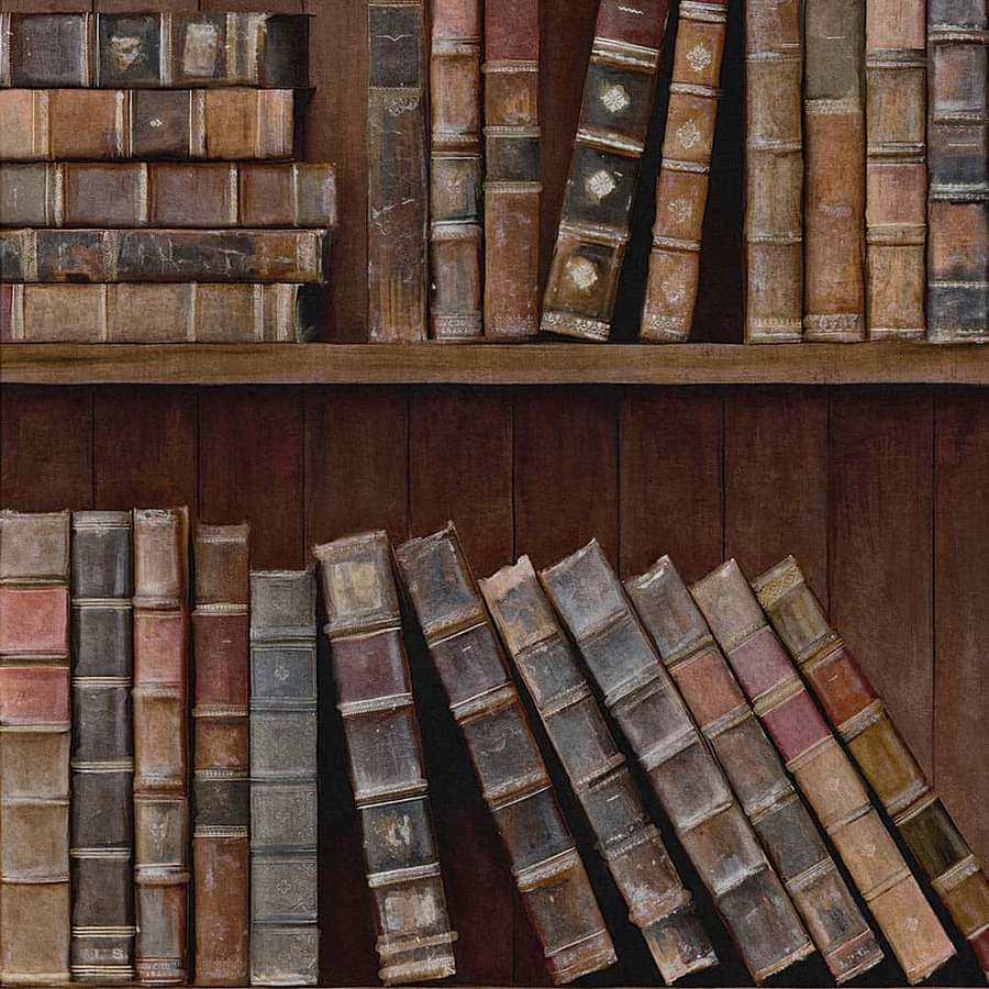 A collection of old leather-bound books on wooden shelves. — Shelves Background