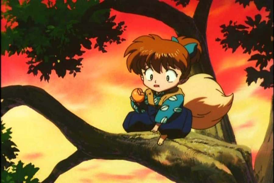 Anime-pige med ræveører sidder på en trægren ved solnedgang — Shippo Wallpapers