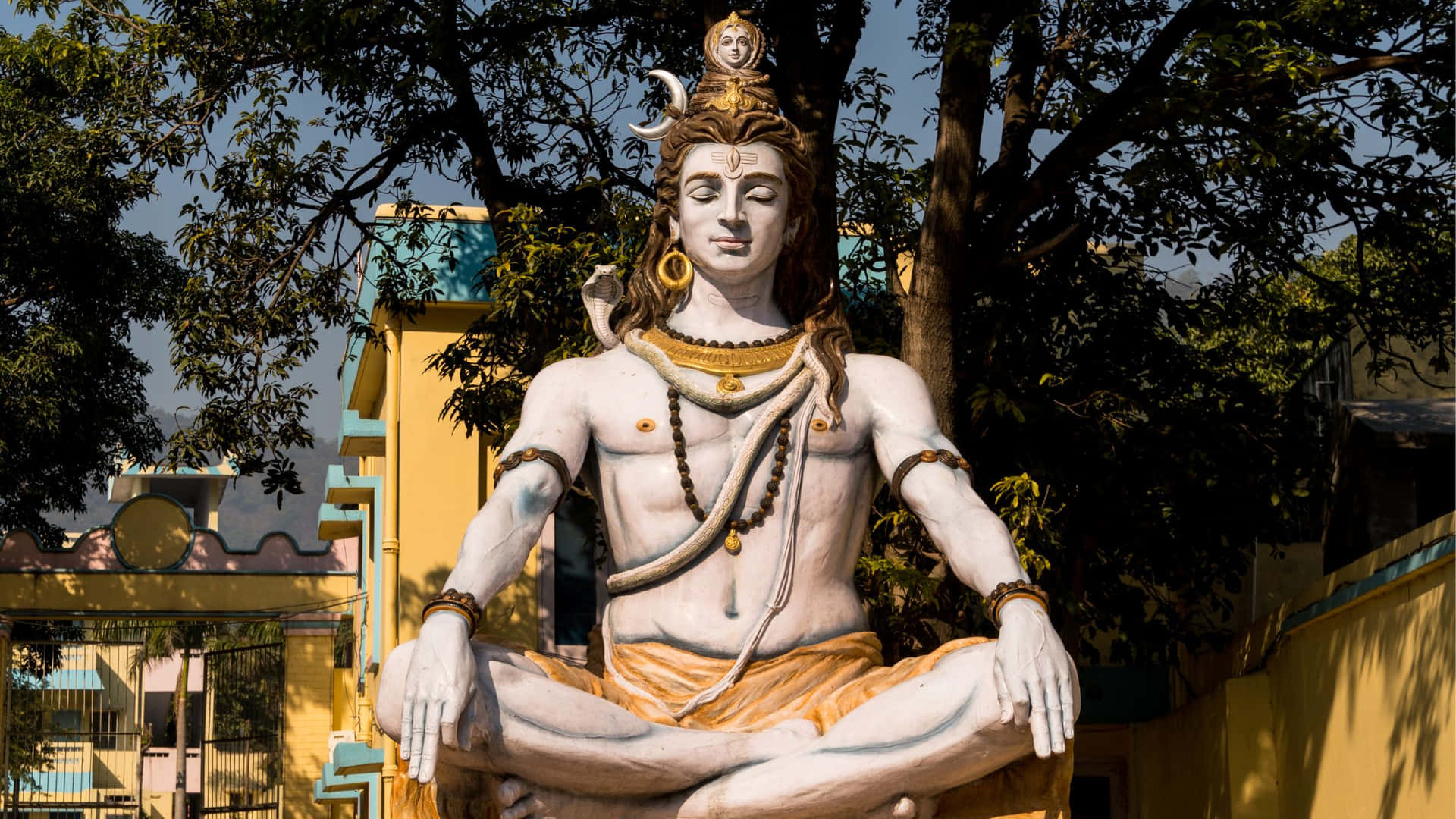 Shiva Bakgrund