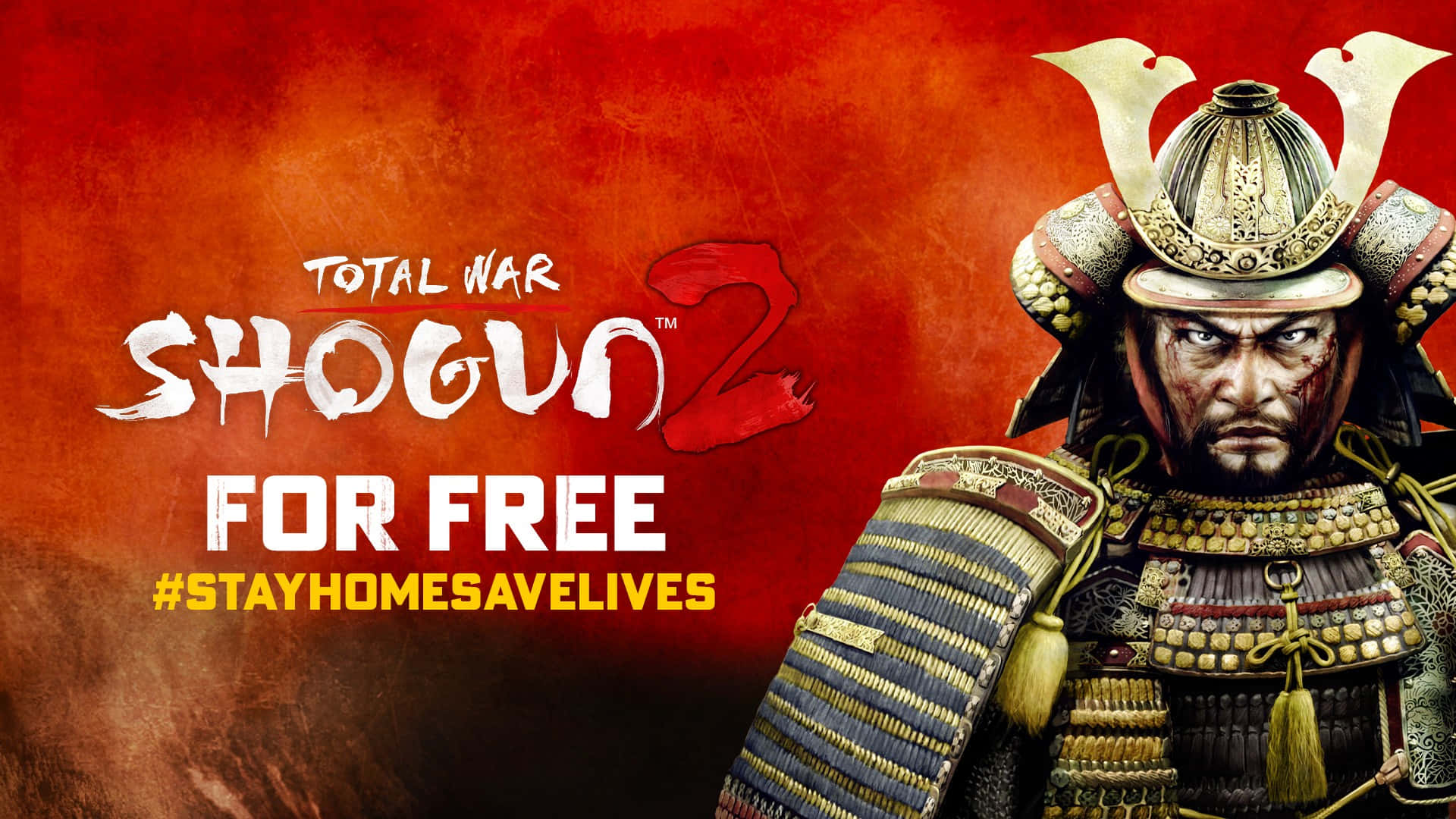 Shogun Total War Fondo de pantalla
