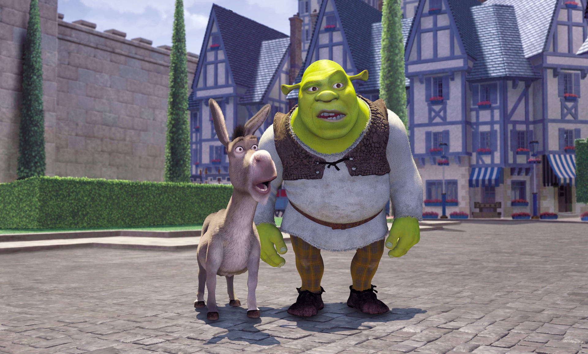 Shrek 4k Wallpaper