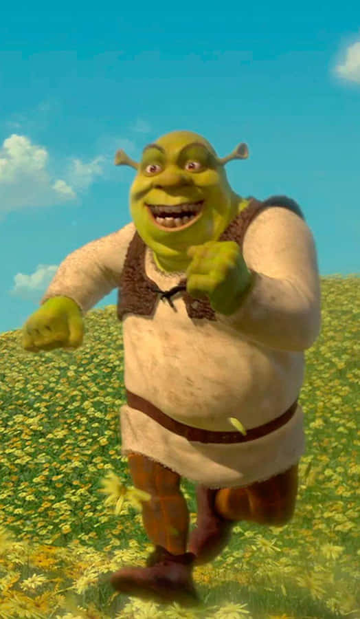 Shrek Engraçado Papel de Parede