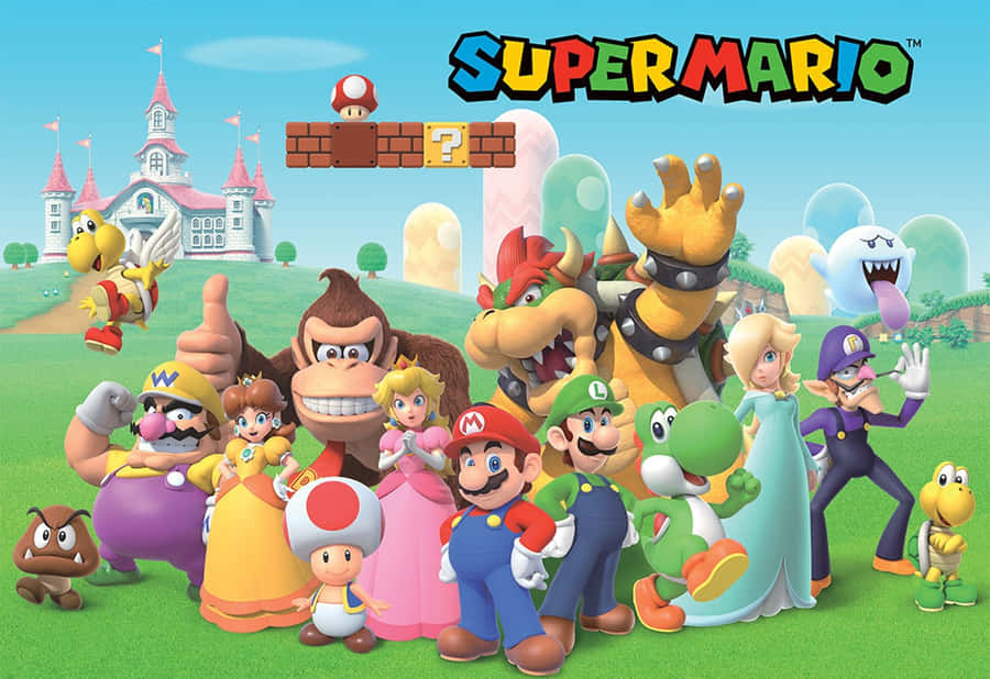 Sienikuningaskunta Taustakuva