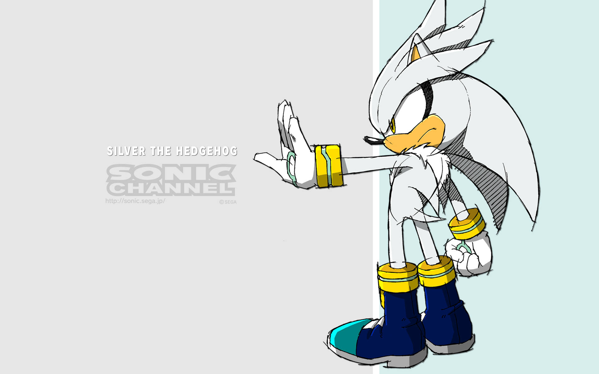 Silver The Hedgehog Pictures Wallpaper