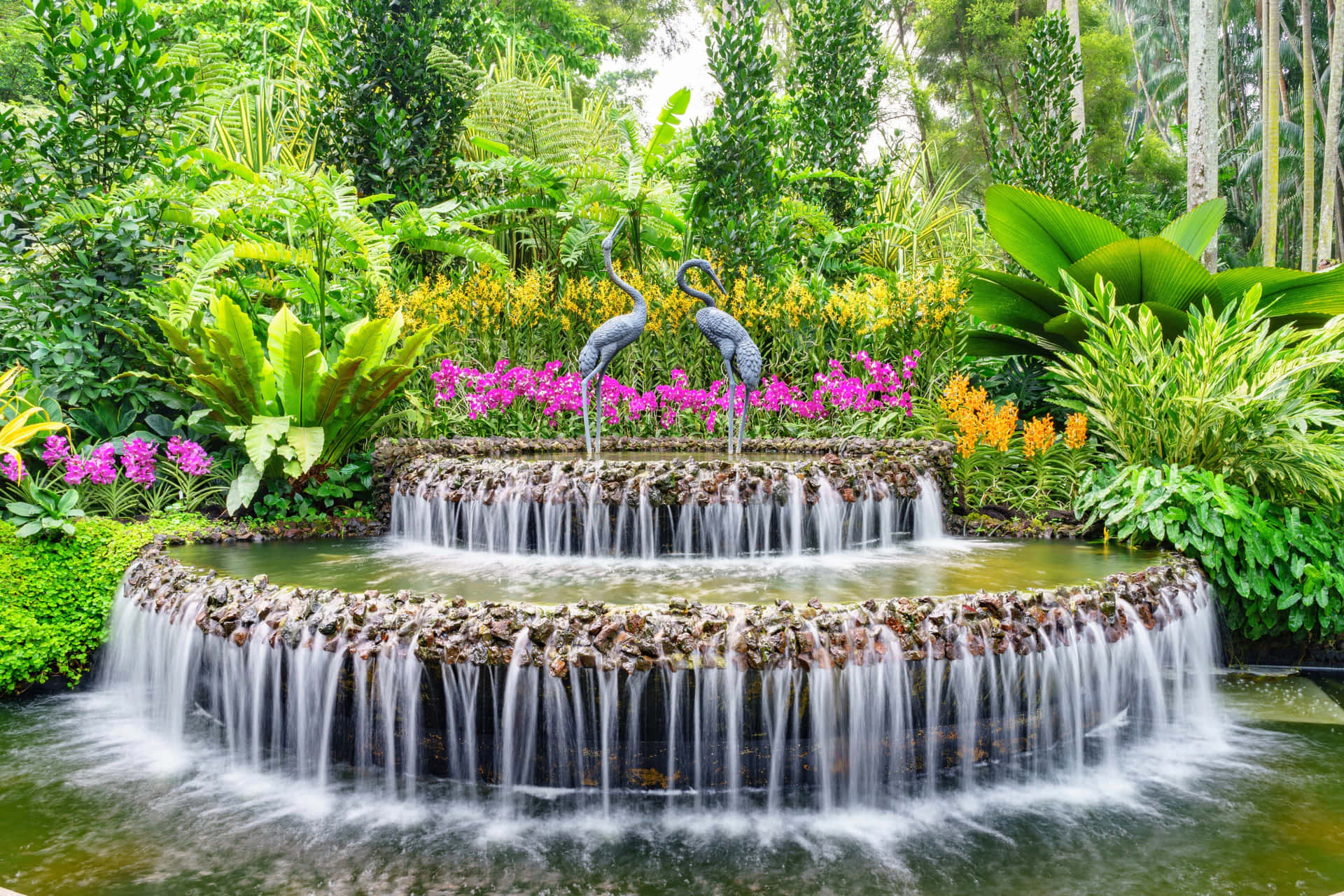 Singapore Botanic Gardens Wallpaper