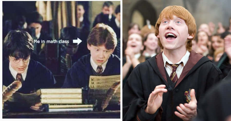Sjove Harry Potter-billeder