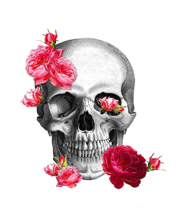 Skull decorated with pink and red roses in a gothic illustration style. — Skull Picture