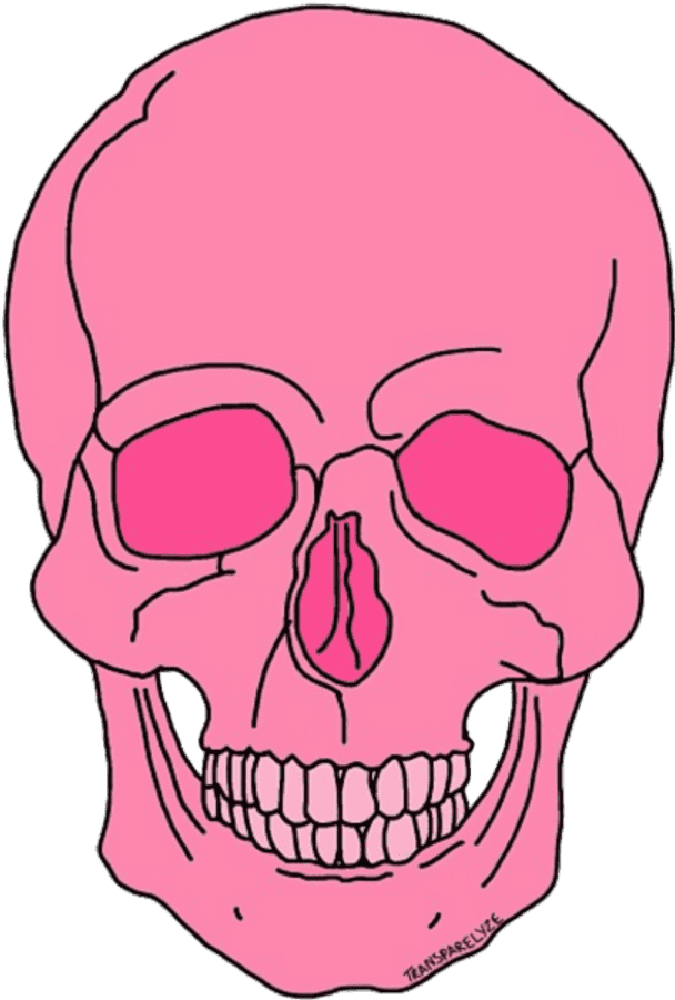 Skull Tumblr Png