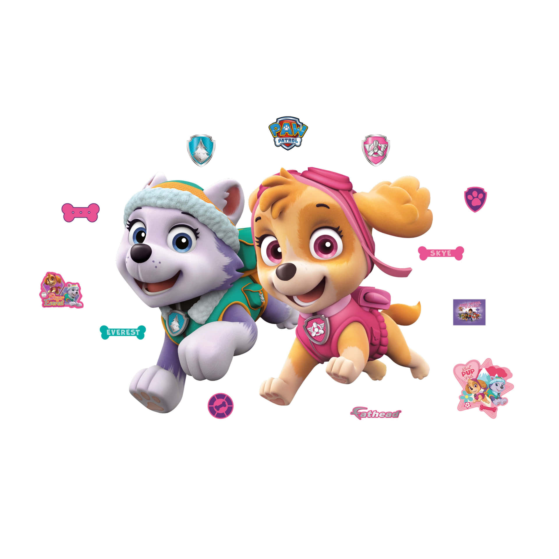 0+] Skye Paw Patrol Pictures