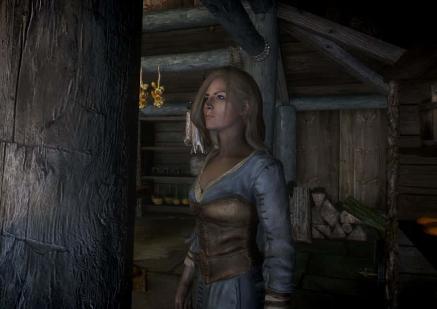 Skyrim Delphine Bakgrunnsbildet