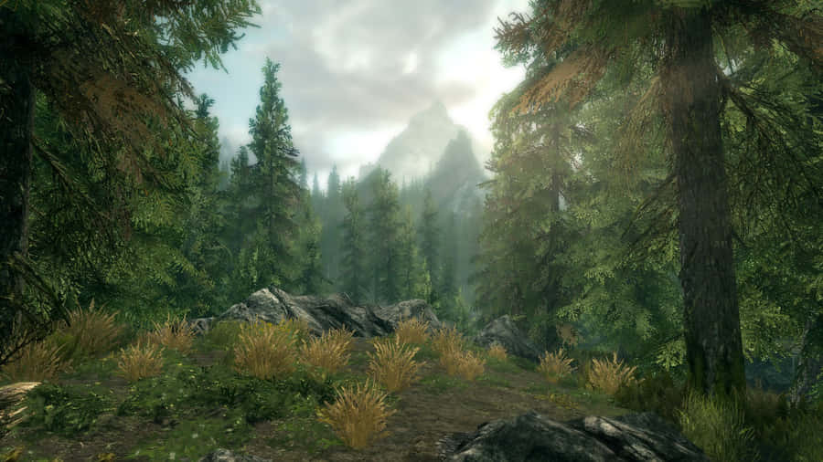 Skyrim Falkreath Bakgrunnsbildet