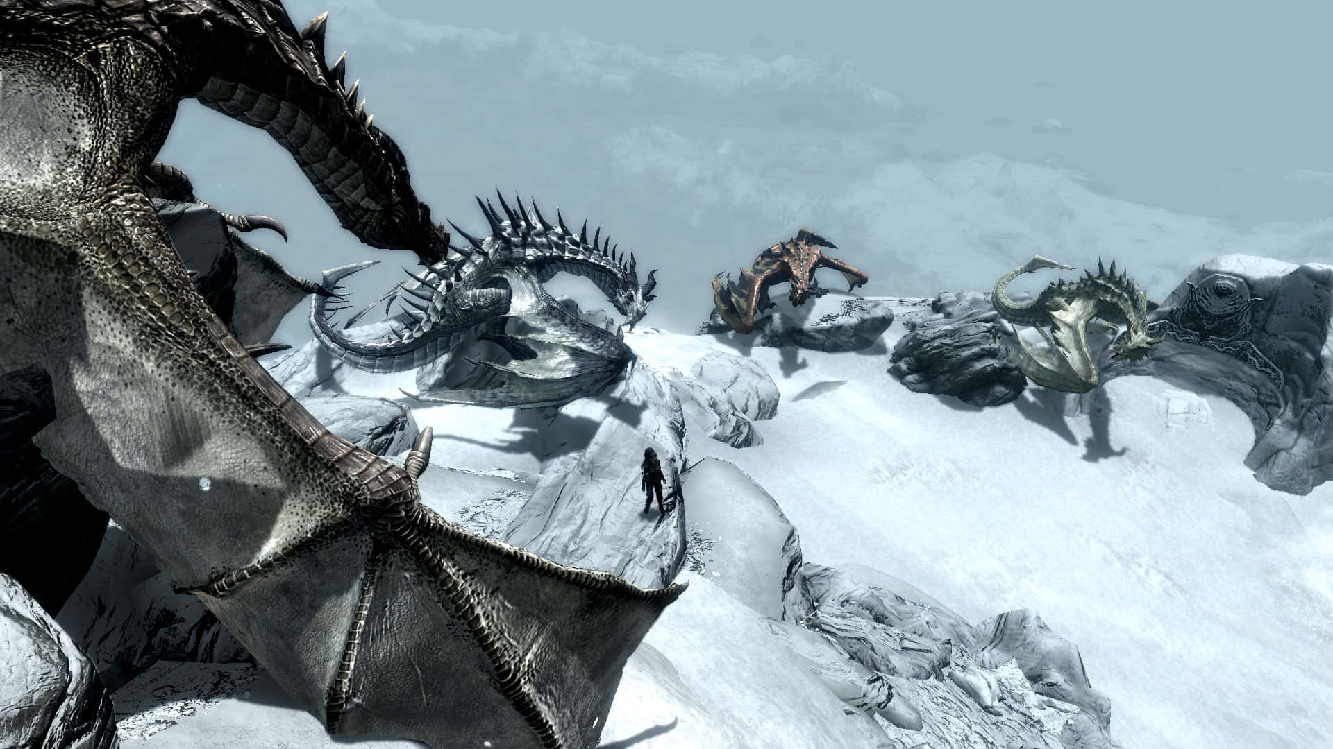 Skyrim Paarthurnax Bakgrunnsbildet