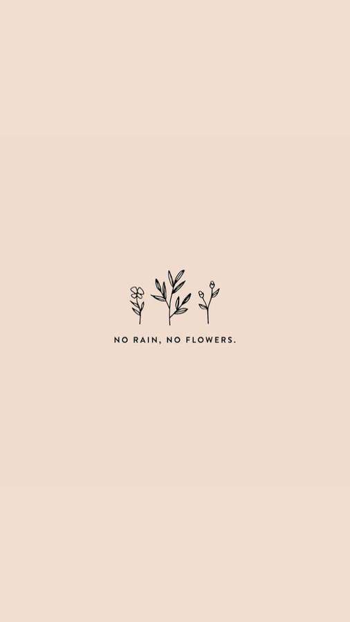 Three line-drawn plants with the text no rain no flowers on beige background. — Small Quotes Wallpaper